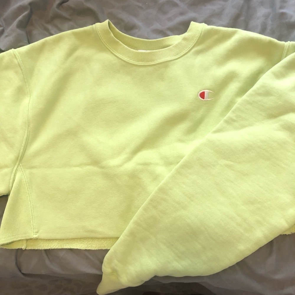 Champion cropped hoodie